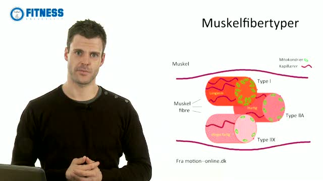 Optimal Intervaltræning 