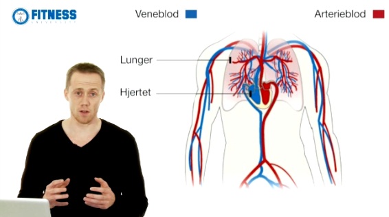 Derfor er høj intensitet bedst!