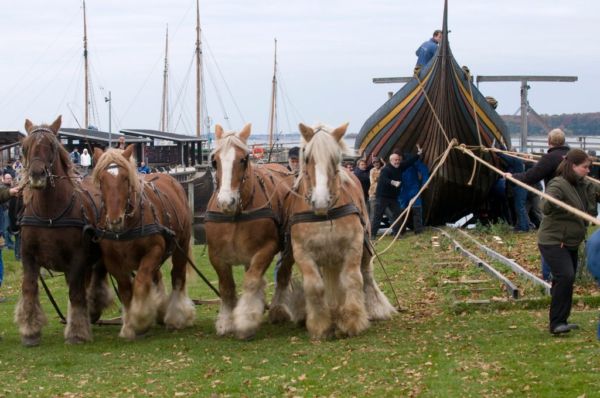 Havhingsten på ny mission