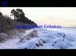 Gribskov 290110