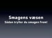 Smagensvæsen